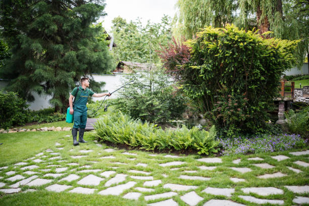 Trusted New Berlin, IL Pest Control Experts