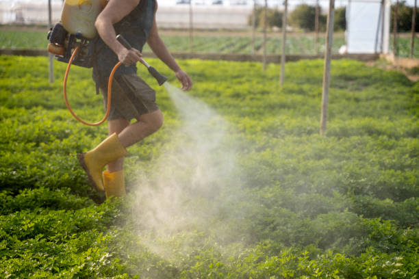 Best Affordable Pest Control Services  in New Berlin, IL