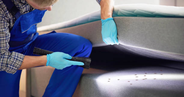 Best Mosquito Control Services  in New Berlin, IL